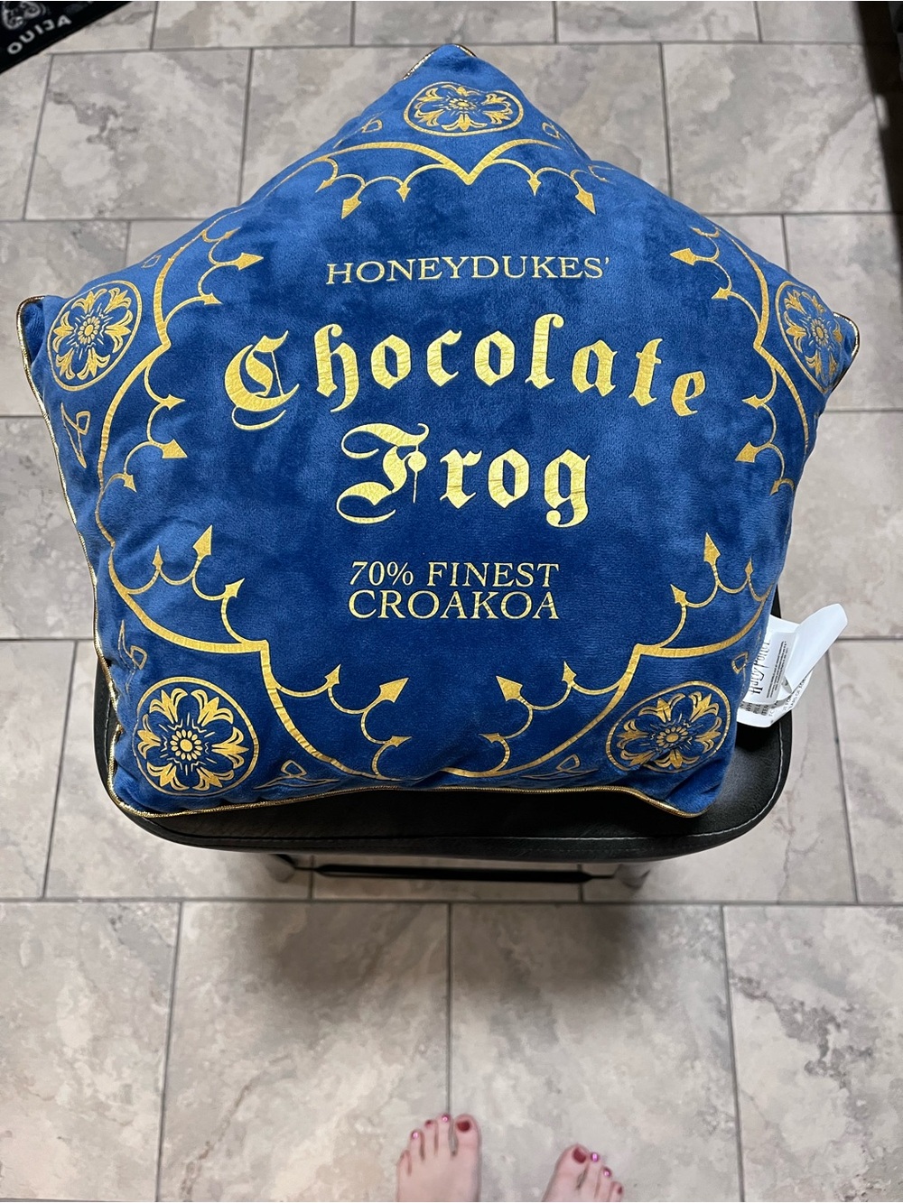 Warner Bros. Blue and Gold Honeydukes Chocolate Frog Pillow Harry Potter